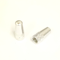 WIAN Bike and Parts Ventilkappe, CNC Aluminium Presta silber Paar