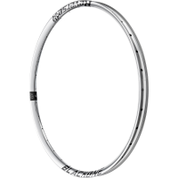 Reverse Components REVERSE Felge Black One 35 TR 29" Silber