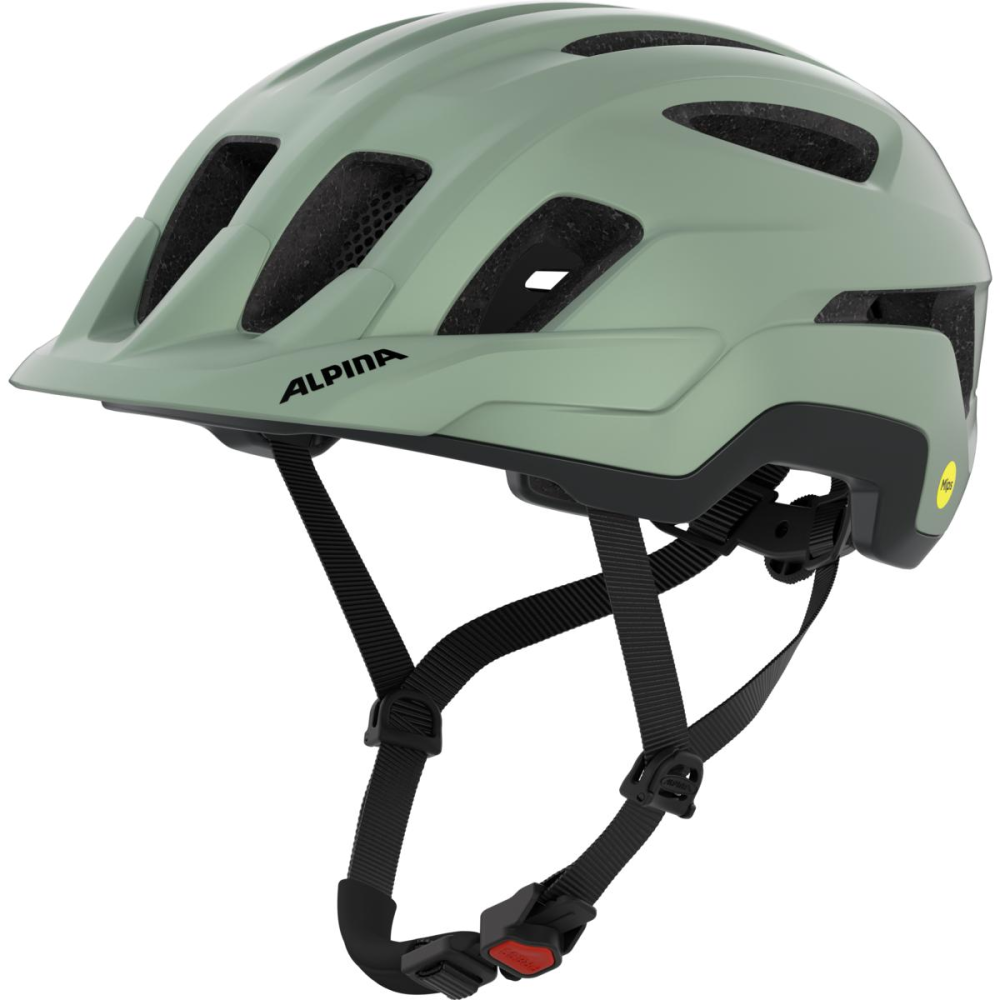 Alpina ALPINA Paranus MIPS willow-green 52-56cm