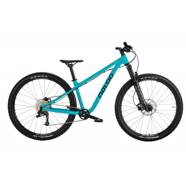 Sapim Speiche Race 2.0-1.8-2.0x292 mm, Pack à 100 Stück, silber, 292