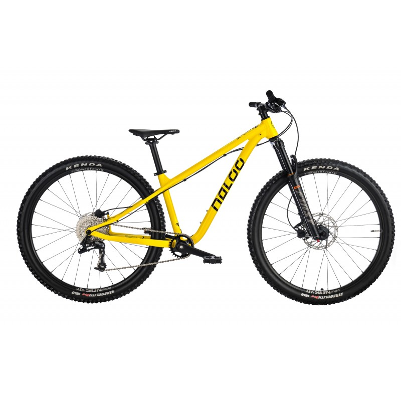 Sapim Speiche Race 2.0-1.8-2.0x291 mm, Pack à 100 Stück, silber, 291